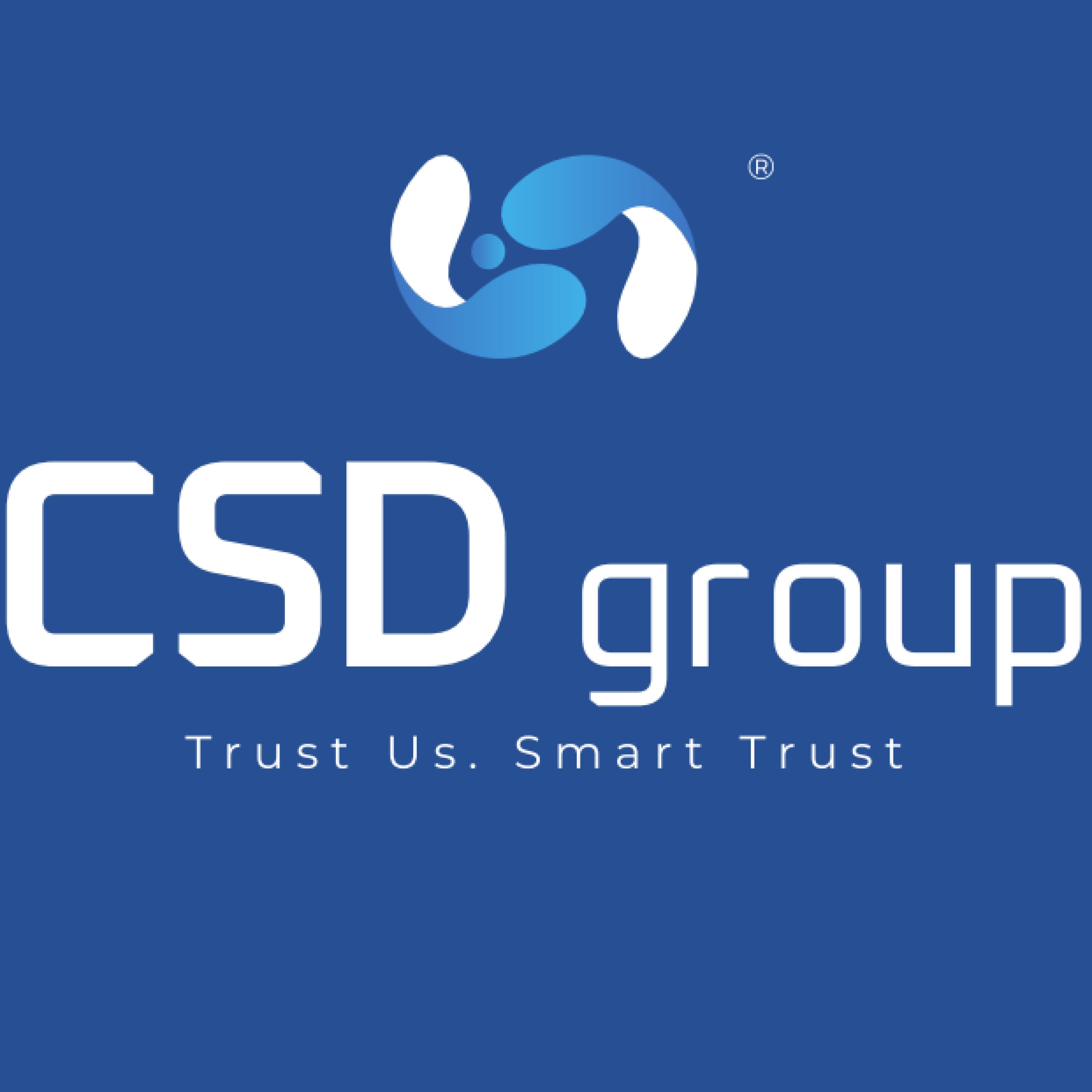 CSD Group